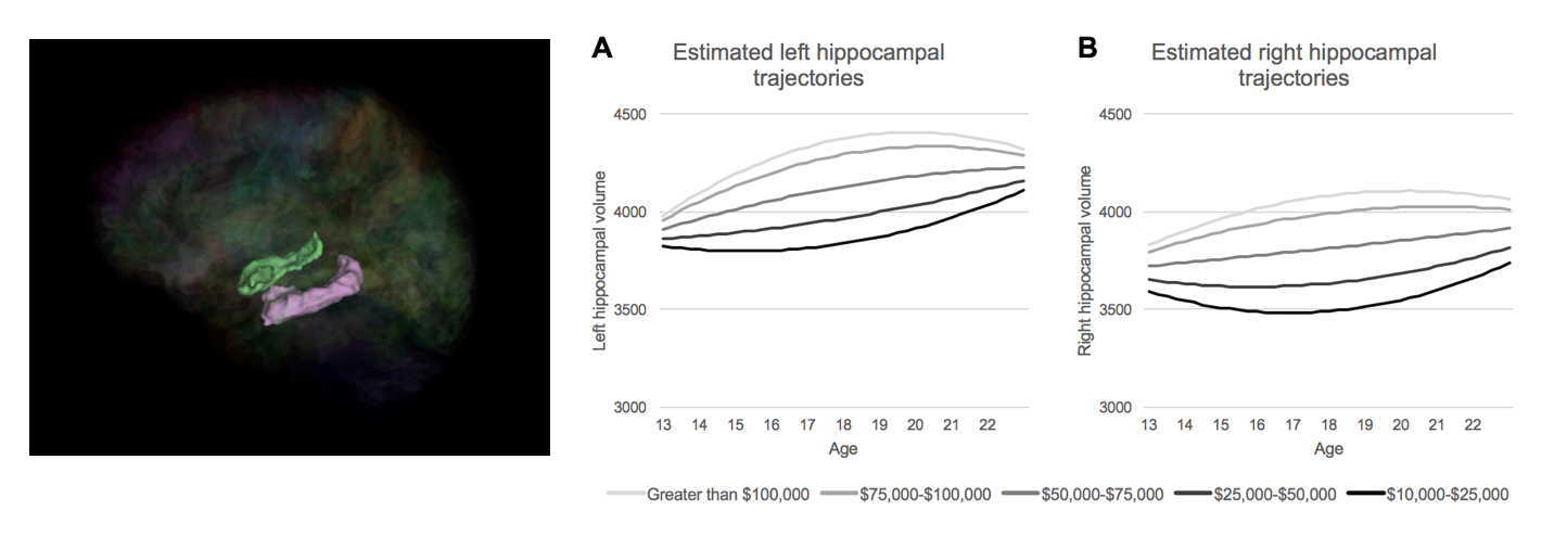 Hippocampal volume in teenage girls is modulated by household income