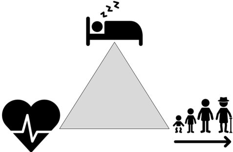 Vyoma’s research focuses on the relationship between sleep and cardiovascular health over the lifespan.